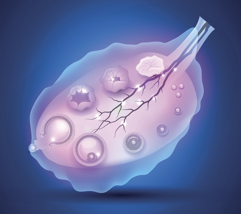 宜宗医院试管婴儿排名前三公布，2026年前5的试管医院已公布！